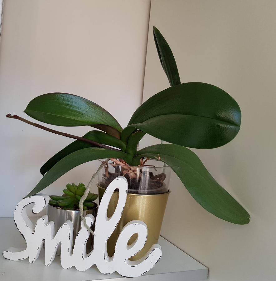Modern Flat In City Center Budapest Ngoại thất bức ảnh